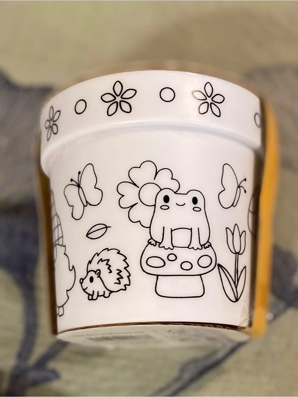 Color Your Own Flower Pot Craft Kit Gnome & Woodland Theme Ages 5+